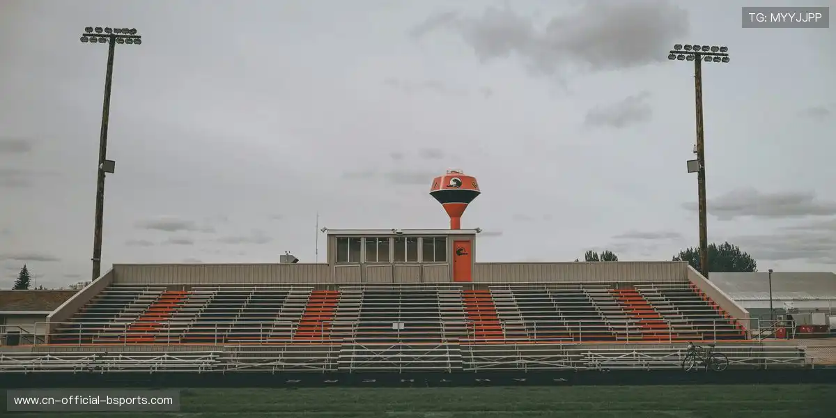 🏆 热门票种优先购买权，会员尊享！